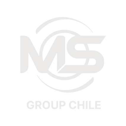 Ms Grupo Gris | -1 Cine